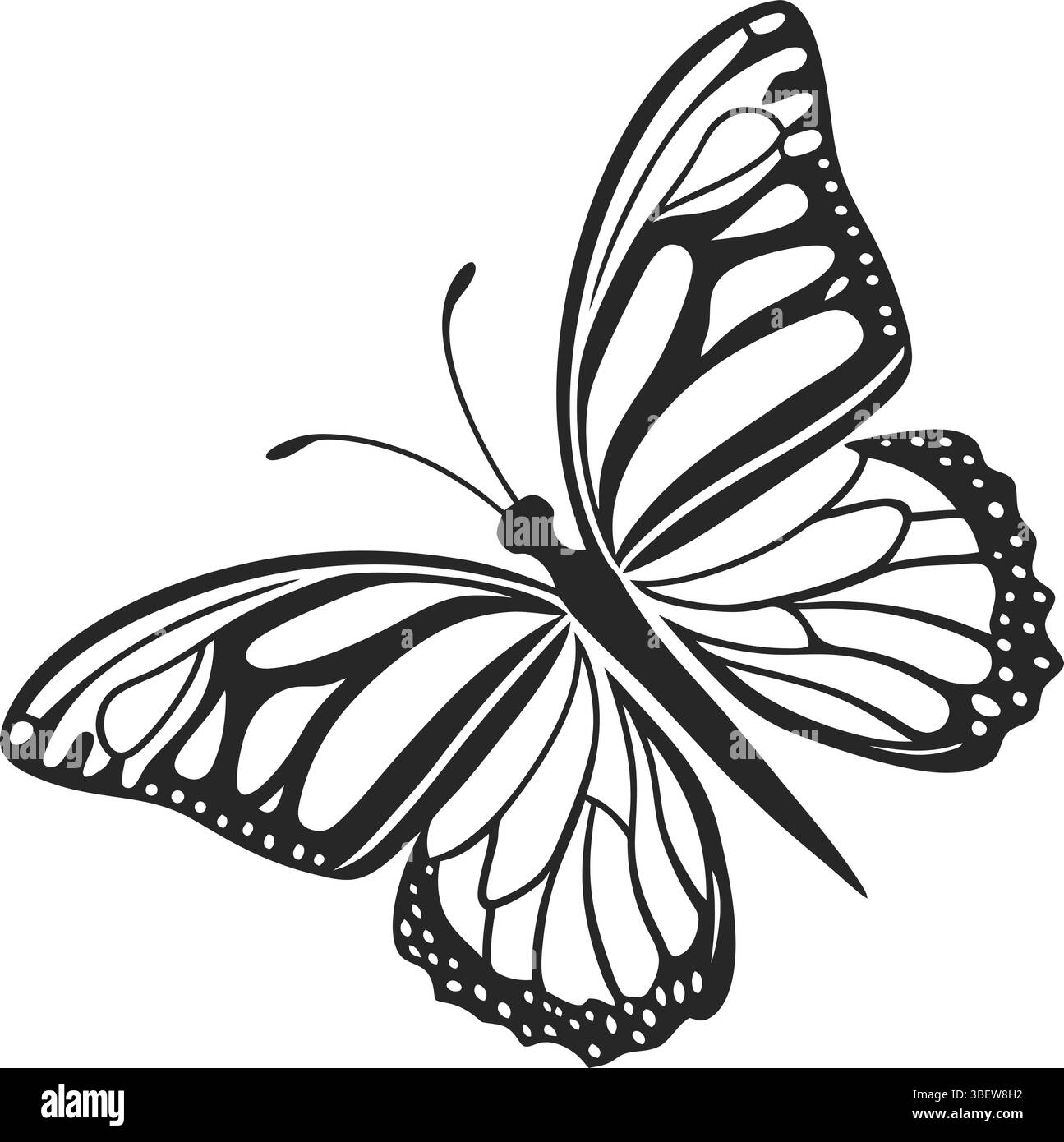 Elegante farfalla Monarch monocromatica: Un'accattivante illustrazione di una farfalla monarca, realizzata in grazioso monocromatico, presenta la sua intricata ala Illustrazione Vettoriale