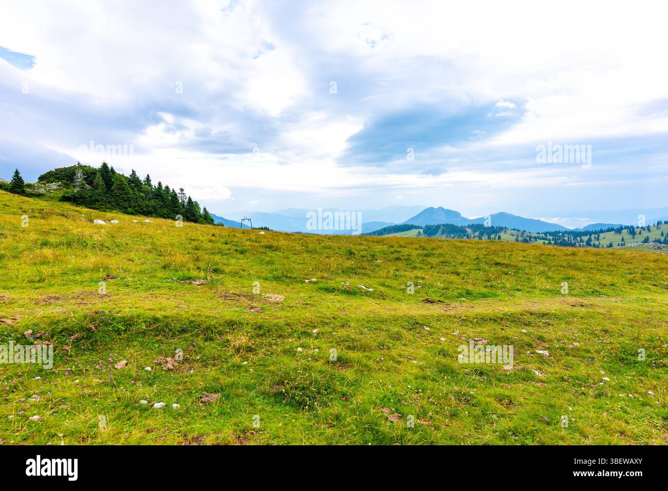 Slovenia velika planina (grande altopiano), terreno agricolo pascolo vicino alla città di Kamnik nelle Alpi slovene. Case di legno su terreni verdi utilizzate dai pastori. Moun Foto Stock