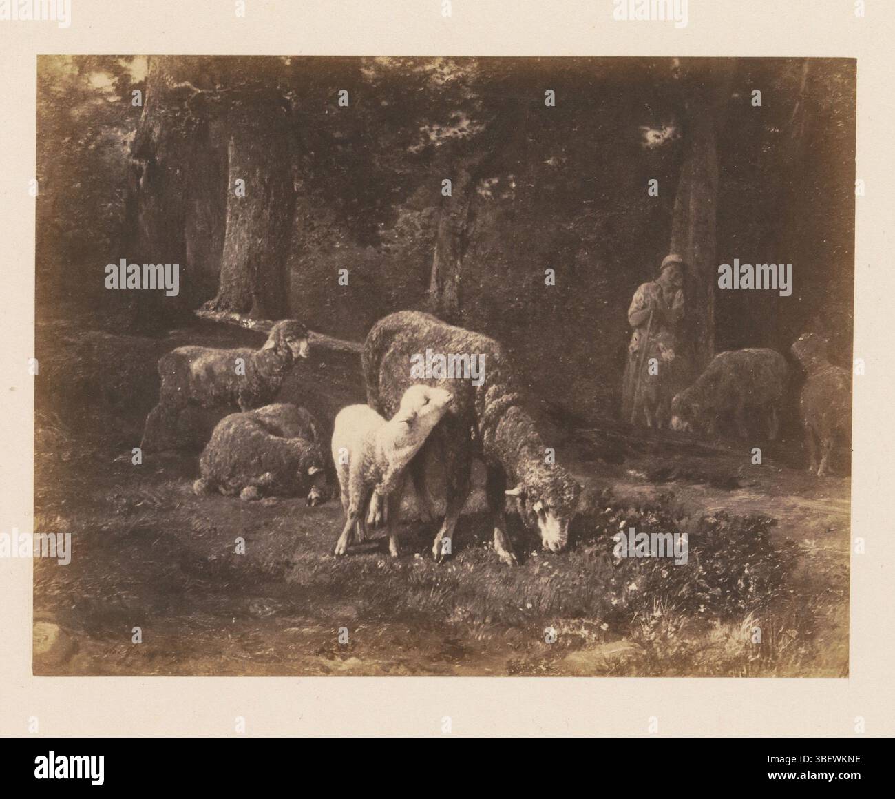 Jacques, CH., Photoreproduction of Mouton's dance le bois di CH. Jacques, fotografia, fotografia, riproduzione, pagina, foto, libri fotografici illustrati, altezza 114 mm, larghezza 151 mm, fotografo, 1858 - 1863, carta fotografica, carta fotografica, stampa di album, stampa di albumina Foto Stock