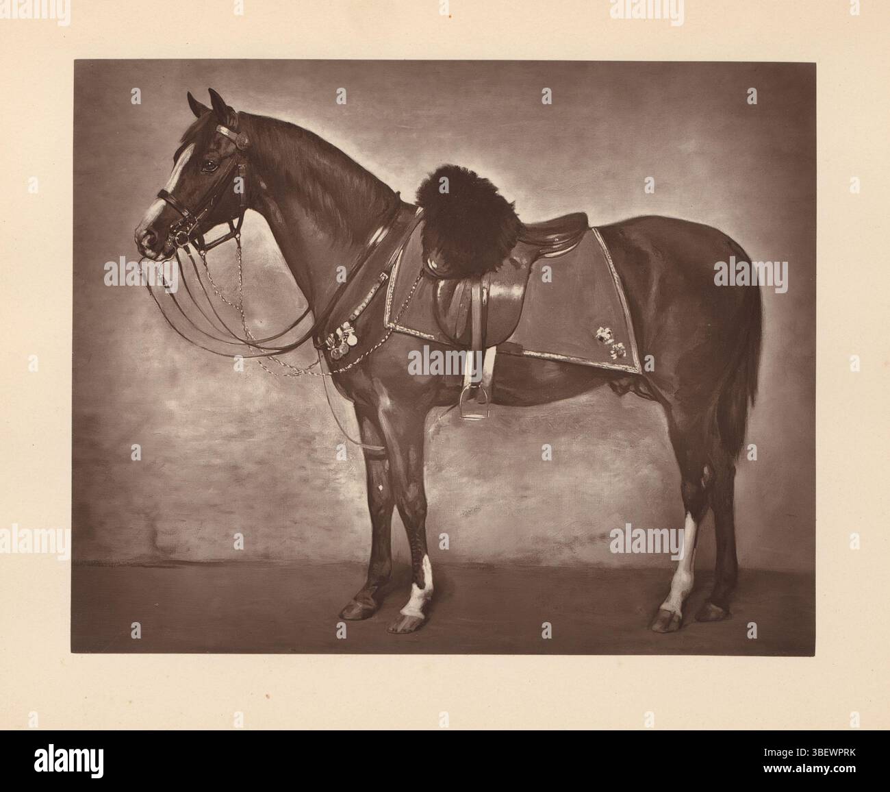 Lutyens, Charles, riproduzione di un dipinto a cavallo di Charles Lutyens, stampa fotomeccanica, riproduzione, pagina, foto, libri illustrati fotografici, altezza 196 mm, larghezza 245 mm, maker, 1874 - 1879, carta, Woodburytype, inglese, 1829 - 1915-05-19 Foto Stock