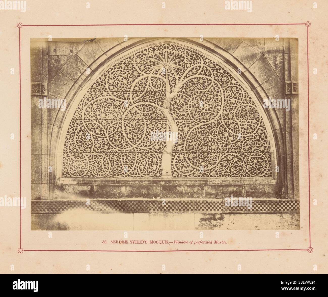 Ahmedabad, Biggs, Tommaso, Moschea di Seedee Syeed.- finestra di marmo perforato, finestra della Moschea Sidi Saiyyed ad Ahmedabad, decorata con palme e motivi a foglia, stampata, fotografia, foto, pagina, foto, libri fotografici illustrati, 36., altezza 136 mm, larghezza 189 mm, 1822, fotografo, 1856 - 1866, carta fotografica, carta fotografica, stampa album, stampa albumina Foto Stock