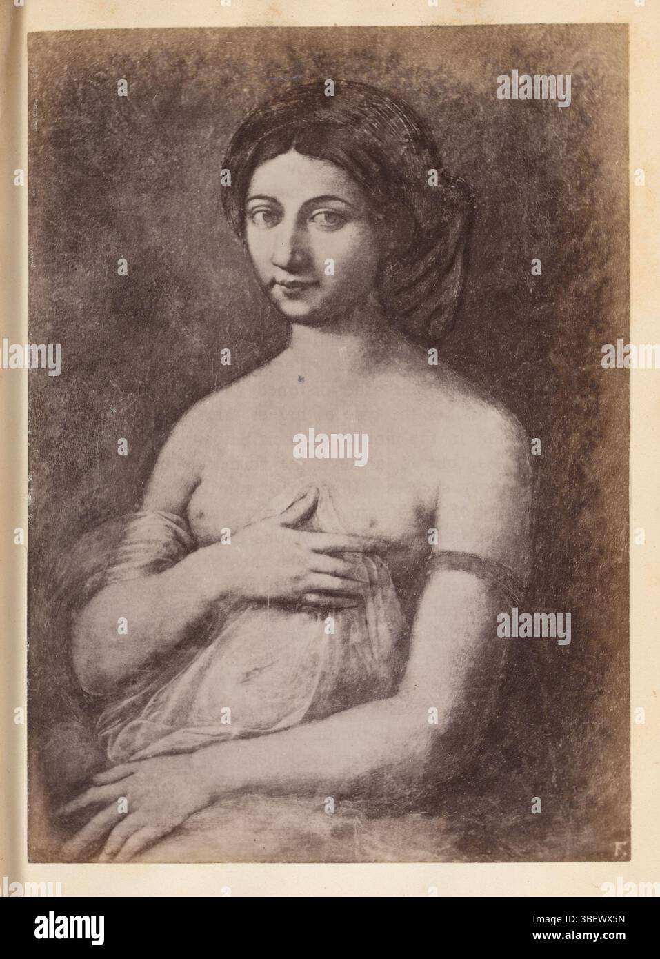 Raffaello, Fotoreproduzione di un disegno a la Fornarina di Rafaël, recto, fotografia, fotografia, riproduzione, pagina, foto, libri fotografici illustrati, F., altezza 135 mm, larghezza 97 mm, fotografo, 1850 - 1860, carta fotografica, carta fotografica, stampa album, stampa albumina, tiratore intermedio, disegno, 1483-04-07 - 1520-04-07 Foto Stock