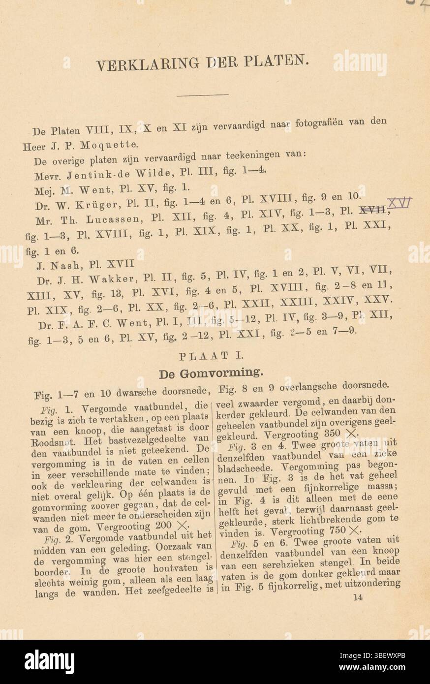 Malattie della canna da zucchero su Giava, malattie della canna da zucchero su Giava, libro, foto, libri illustrati fotografici, altezza 254 mm, larghezza 177 mm, spessore, 10 mm Foto Stock