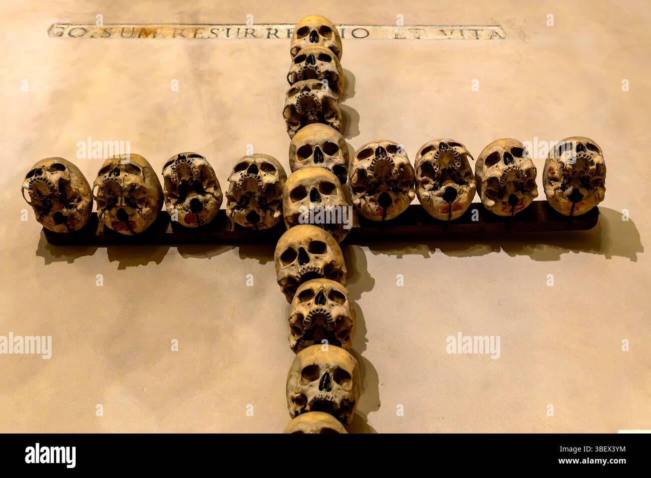 Primo piano del crocifisso realizzato con teschi umani nella cripta di Santa Maria dell'Orazione e morte; Roma; Italia. Foto Stock