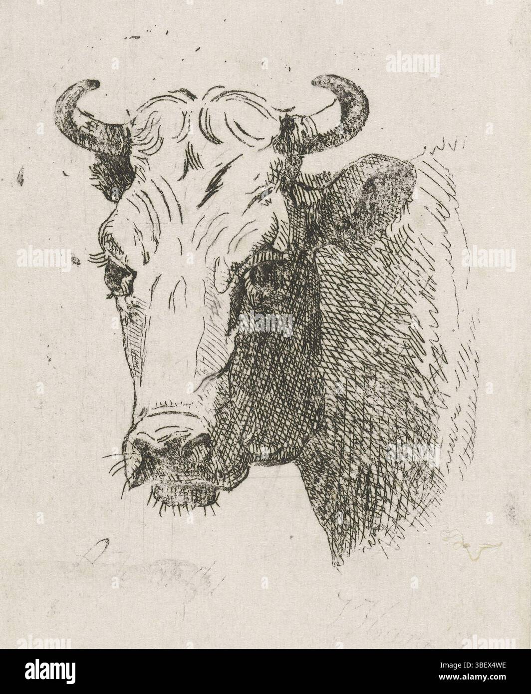 Den Haag, Hari, Johannes (II), Koeienkop, l’Aia, stampa, altezza 82 mm, larghezza 65 mm, 1807-12-01 - 1887-03-18, stampatore, 1822 - 1887, carta, incisione, incisione Foto Stock