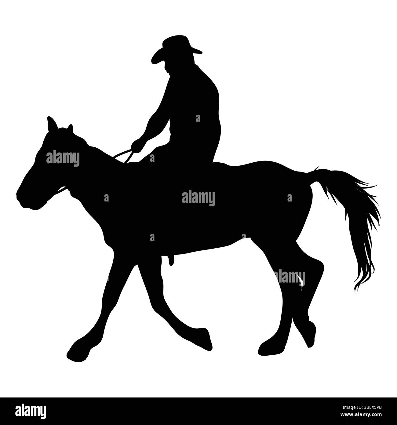 Silhouette di una persona che indossa un cappello a cavallo su uno sfondo bianco. Illustrazione Vettoriale