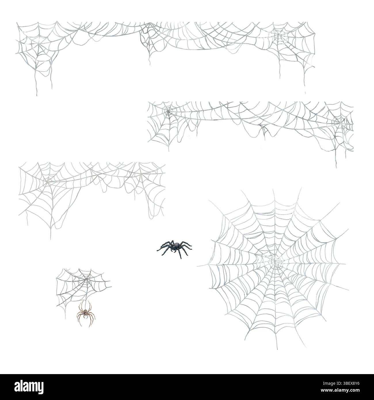 Ragnatela di forme diverse. Illustrazione acquerello. Ragni sospesi e ragni piccoli, isolati su sfondo bianco. Il tema della stregoneria AN Foto Stock