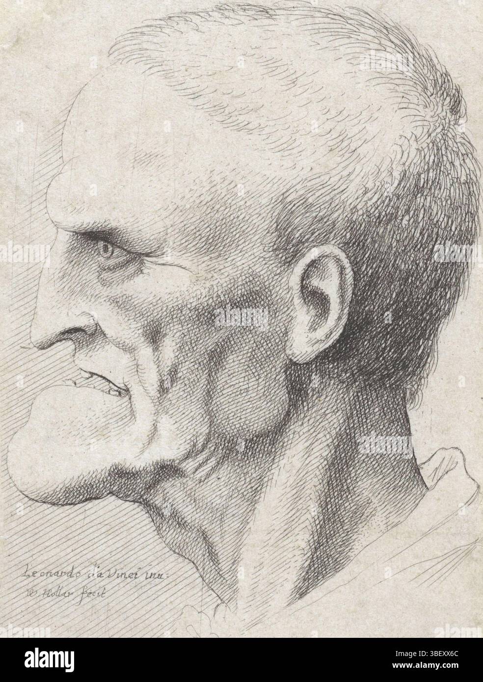 Leonardo da Vinci, Anversa, Hollar, Venceslao, Ritratto di un vecchio con mento prono, stampa, altezza 111 mm, larghezza 78 mm, ceco, 1607-07-13 - 1677-03-25, stampatore, 1644 - 1652, carta, incisione, Work Concept, italiano, 1452-04-15 - 1519-05-02 Foto Stock