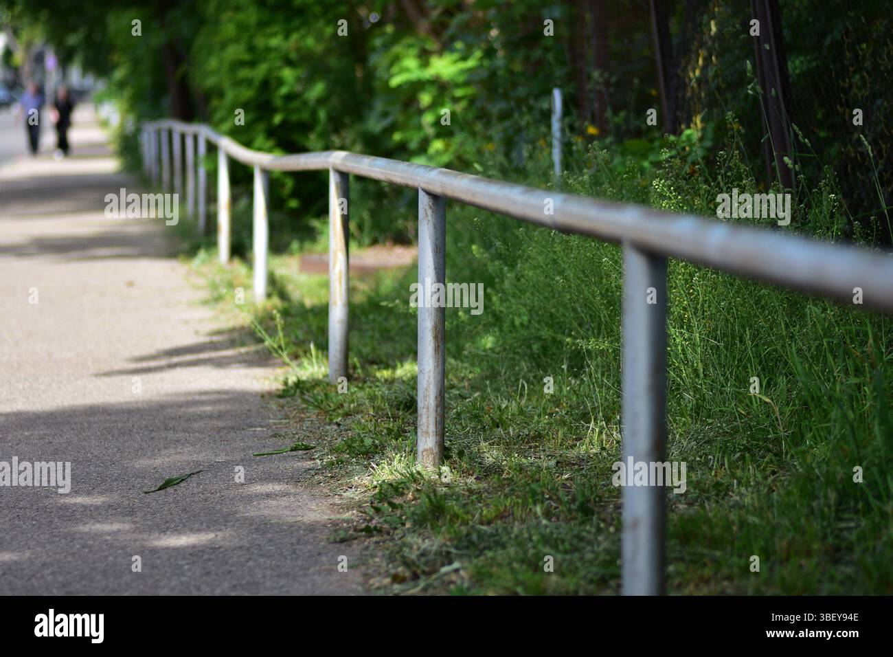 Una vista prospettica di una ringhiera metallica intemprata lungo un sentiero pedonale, circondata da erba verde e alberi. Infrastruttura di sicurezza urbana ideale Foto Stock