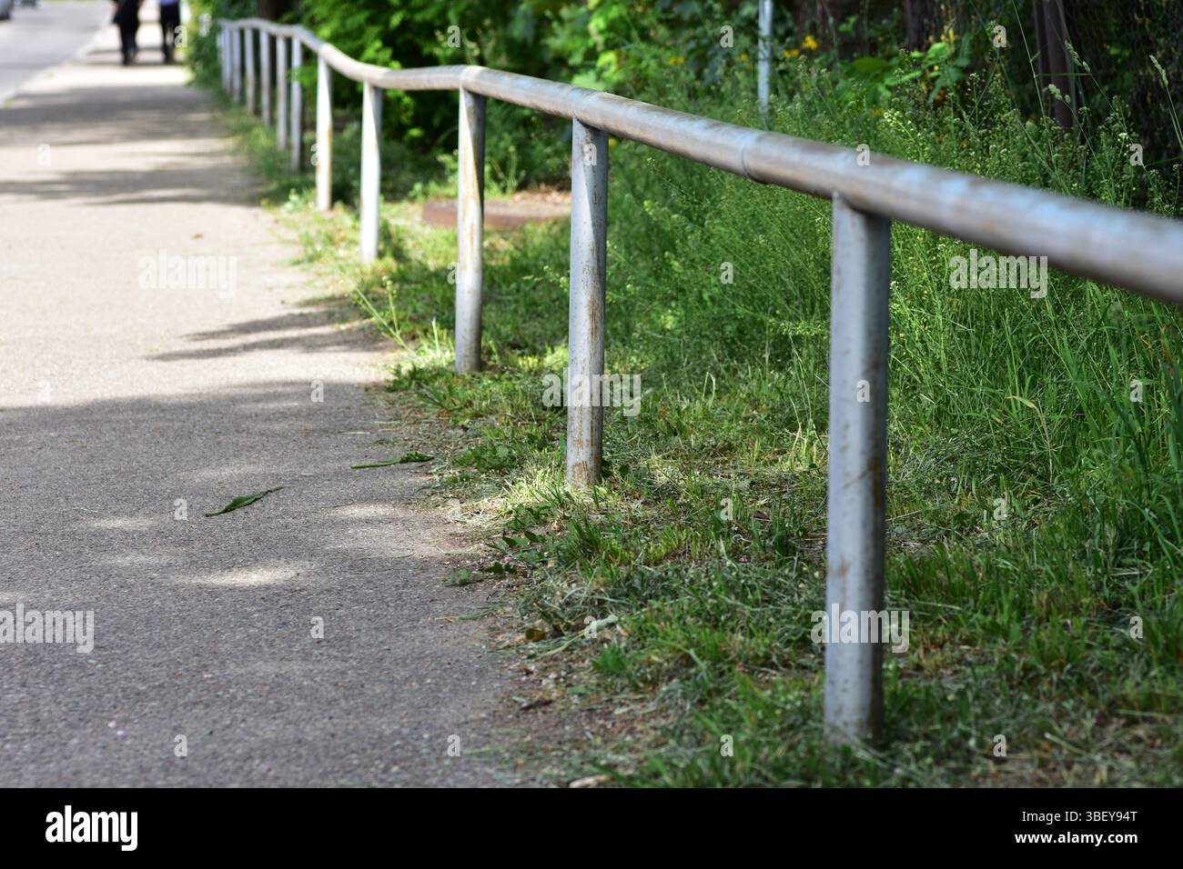Una vista prospettica di una ringhiera metallica intemprata lungo un sentiero pedonale, circondata da erba verde e alberi. Infrastruttura di sicurezza urbana ideale Foto Stock