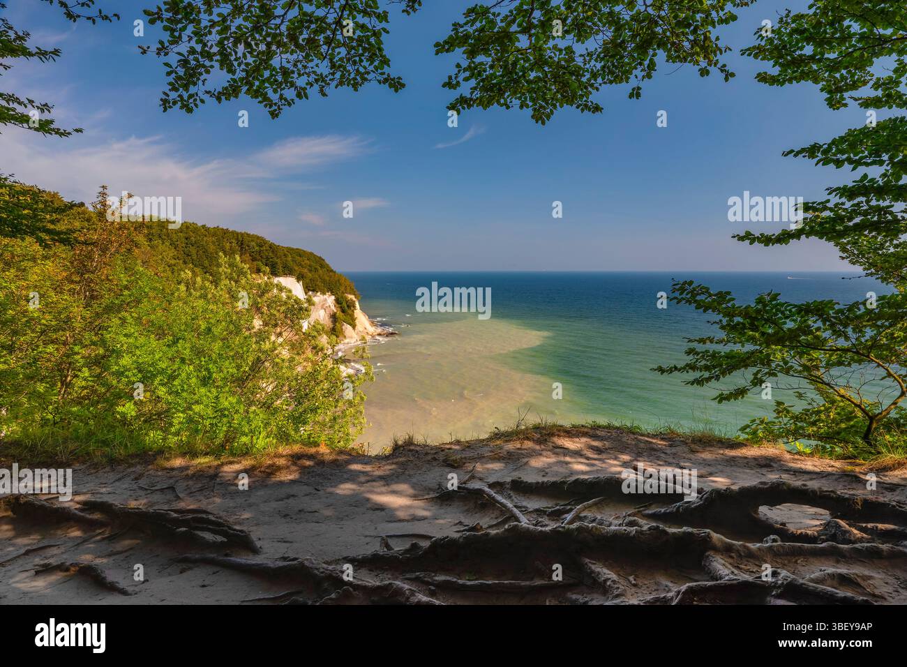 Scogliere di gesso, Parco nazionale di Jasmund, Sassnitz, isola di RALgen, Meclemburgo-Pomerania occidentale, Germania Foto Stock