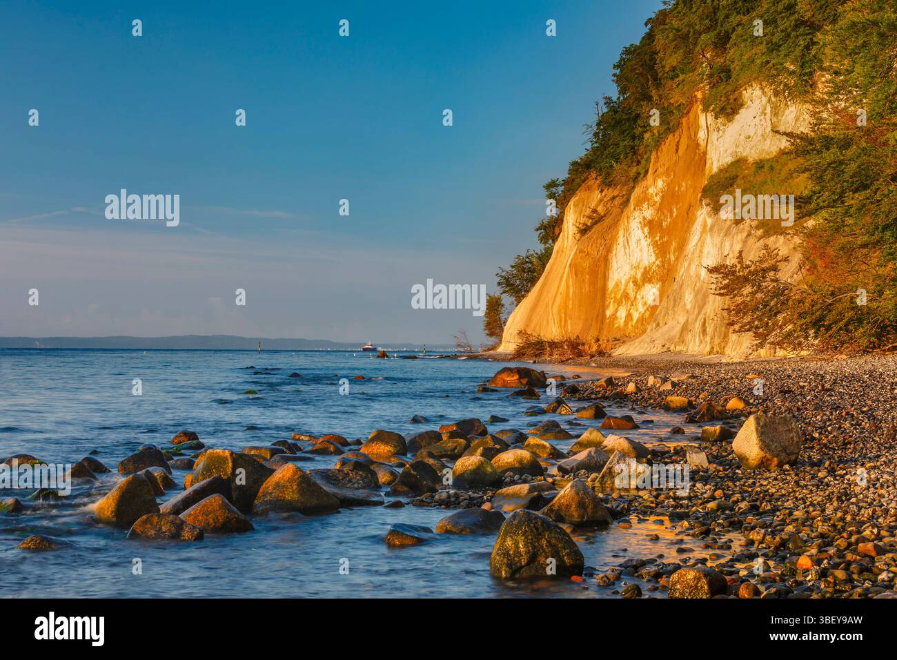 Scogliere di gesso, Parco nazionale di Jasmund, Sassnitz, isola di RALgen, Meclemburgo-Pomerania occidentale, Germania Foto Stock