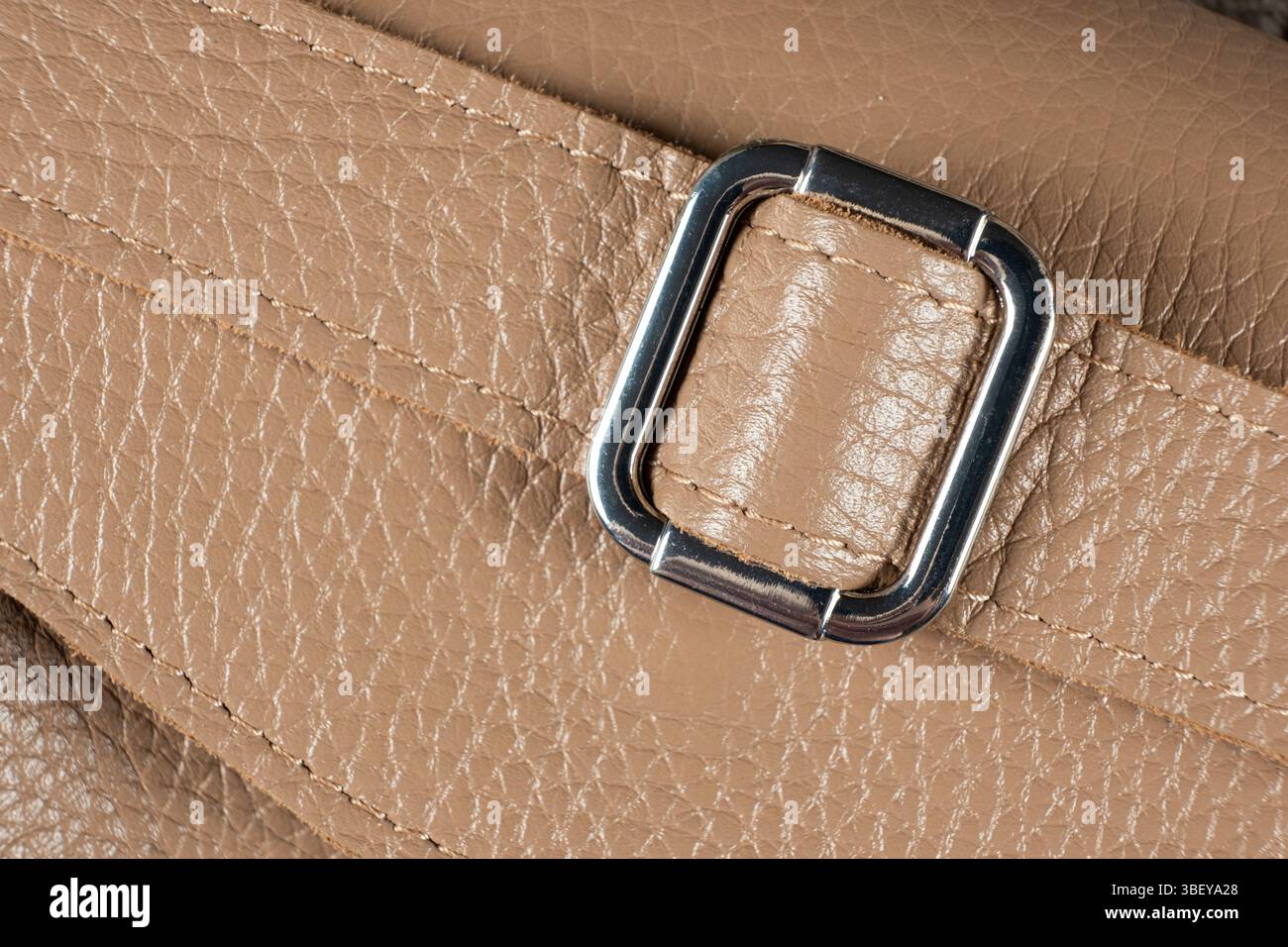 Dettagli in metallo sul cinturino da borsa in pelle Foto Stock