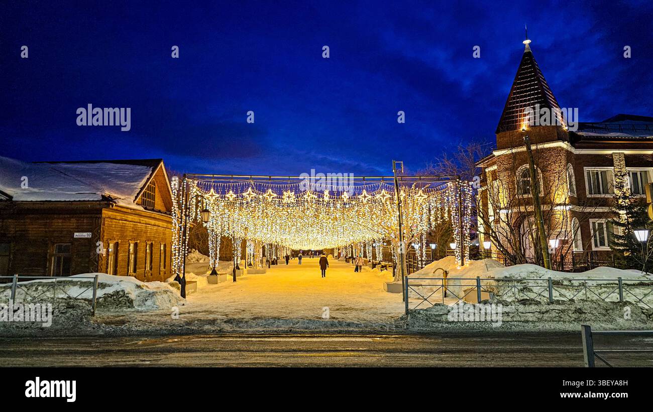 NightShot di Salekhard, penisola di Yamal, Russia Foto Stock