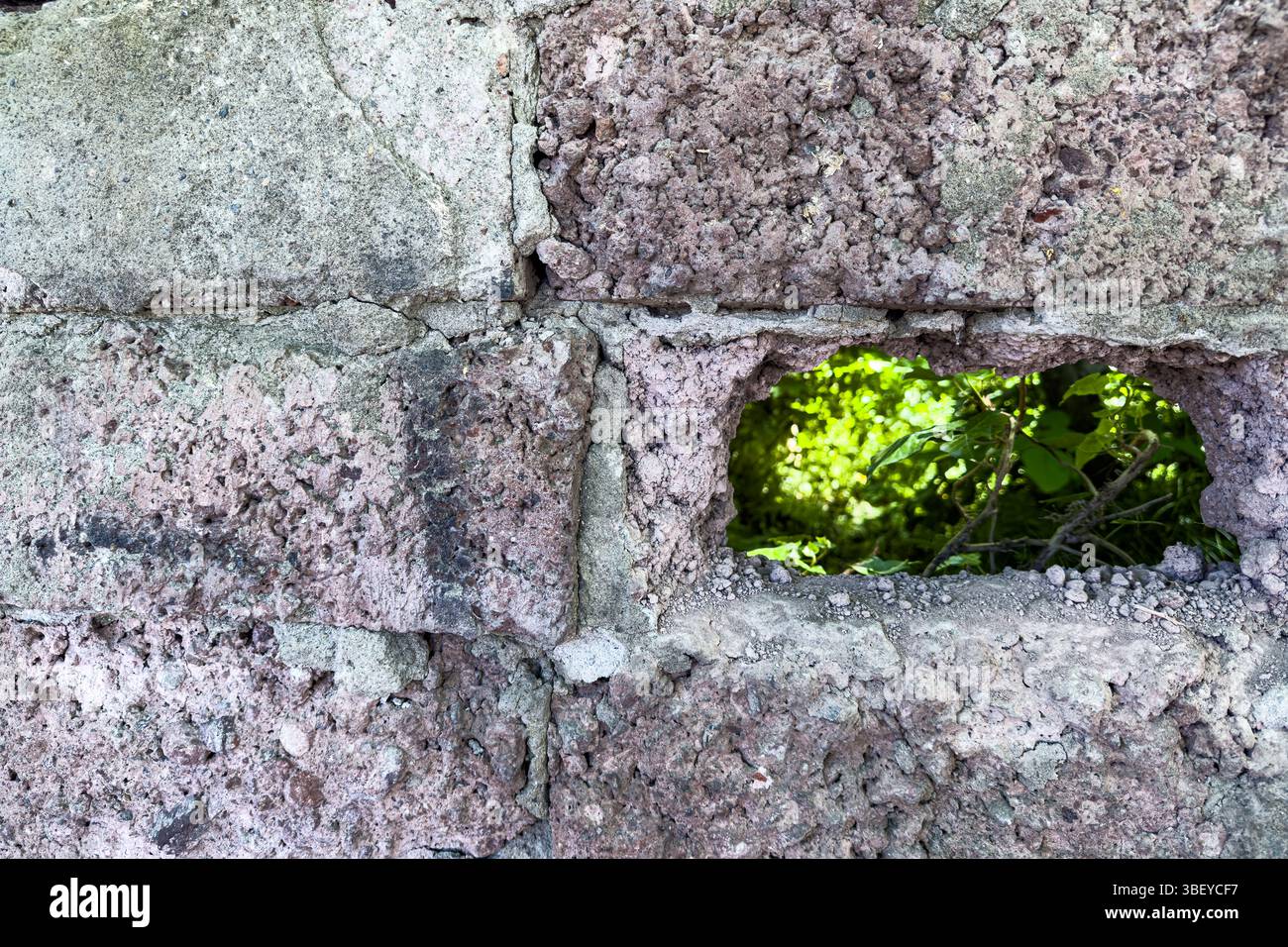 Vecchia parete ruvida con piccolo foro che rivela il fogliame verde dietro, primo piano della superficie in pietra intemprata, luce naturale, scena astratta. Foto Stock