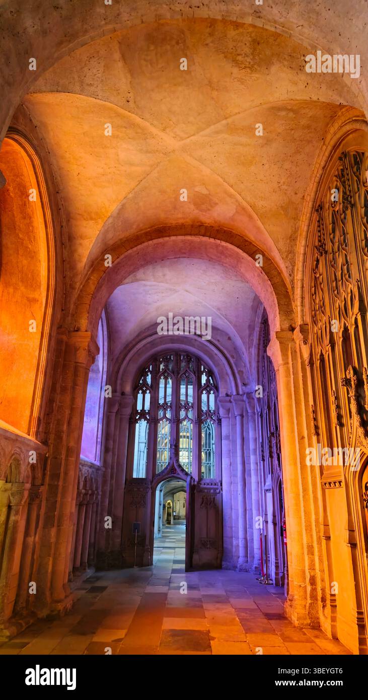 Interni, Norwich Cathedral, Norfolk, Regno Unito Foto Stock