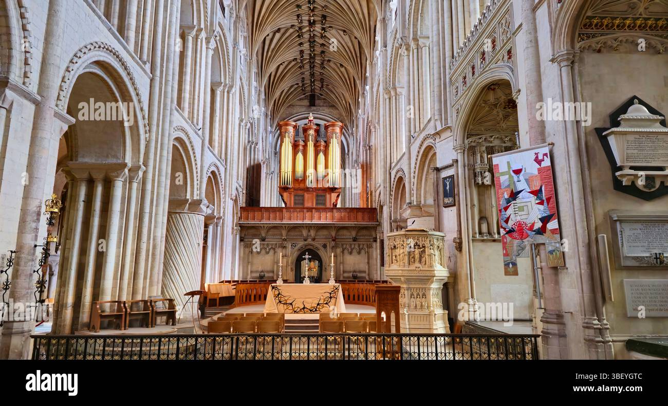 Interni, Norwich Cathedral, Norfolk, Regno Unito Foto Stock