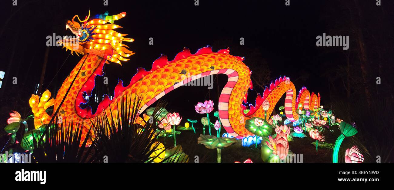 Asian Lantern Festival, Central Florida Zoo, Stati Uniti d'America Foto Stock