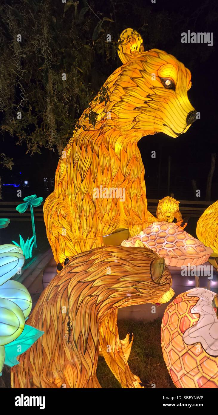 Asian Lantern Festival, Central Florida Zoo, Stati Uniti d'America Foto Stock