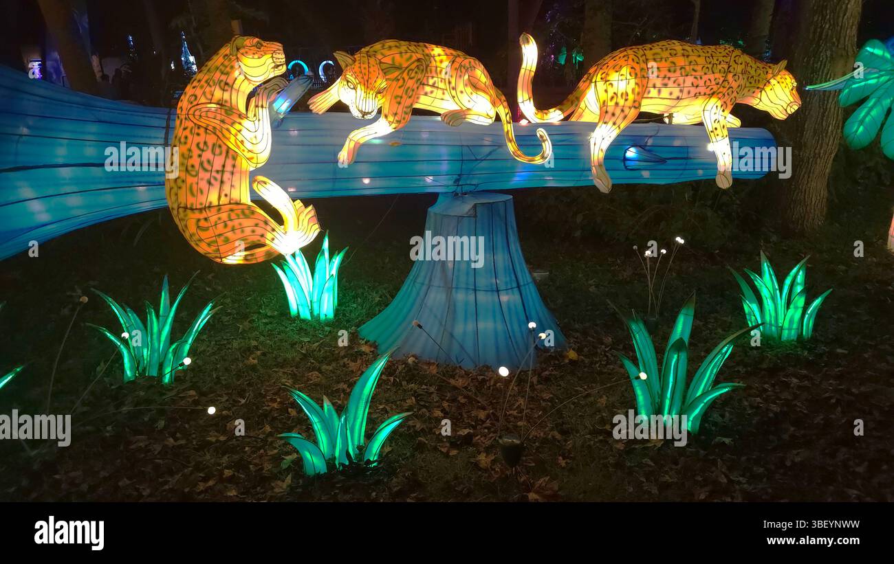 Asian Lantern Festival, Central Florida Zoo, Stati Uniti d'America Foto Stock