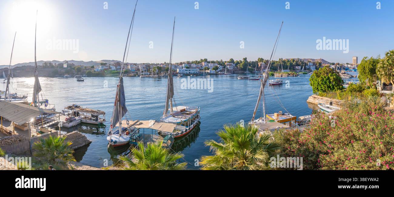 Vista delle fellucas sul fiume Nilo in una giornata di sole, Assuan, Nubia, Egitto, Nord Africa, Africa Foto Stock