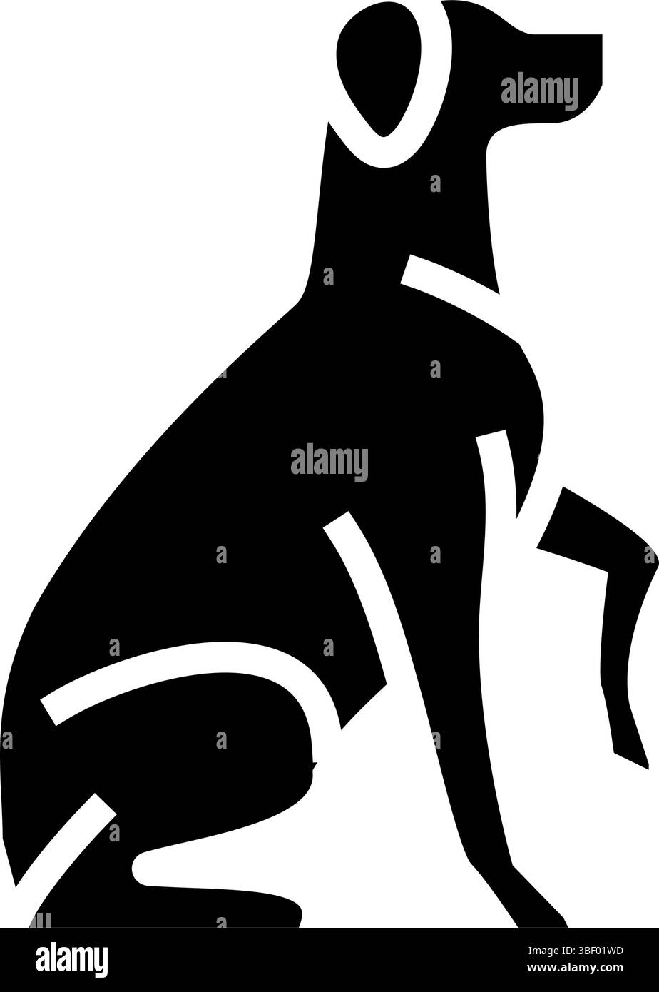 formazione sull'obbedienza gara di cani mostra illustrazione del vettore dell'icona del glifo Illustrazione Vettoriale