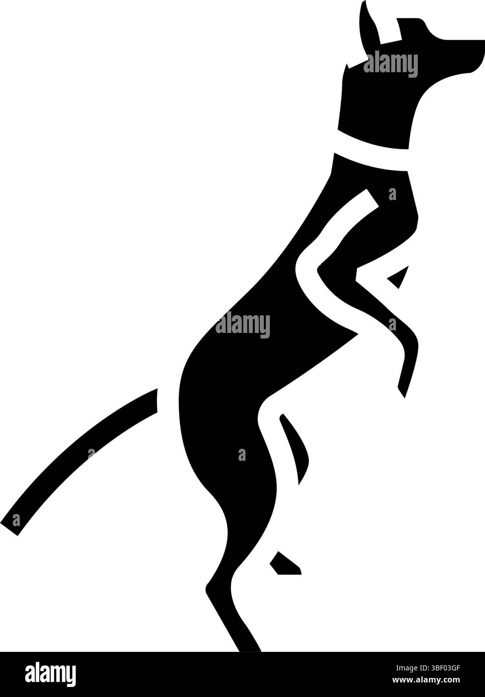 il concorso di cani alti mostra l'illustrazione del vettore dell'icona glifo Illustrazione Vettoriale