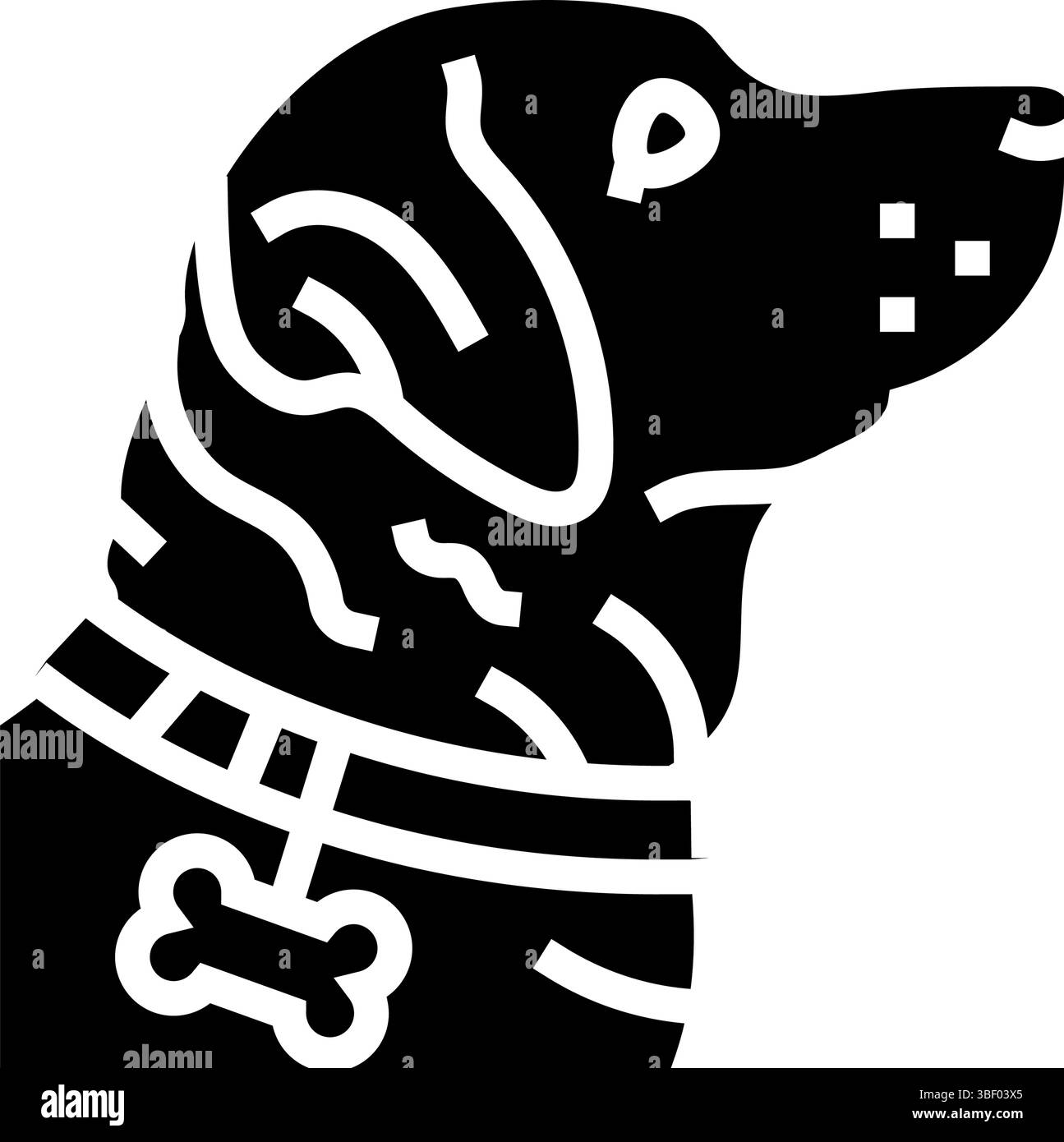 concorso con il nome del cane mostra l'illustrazione del vettore dell'icona del glifo Illustrazione Vettoriale