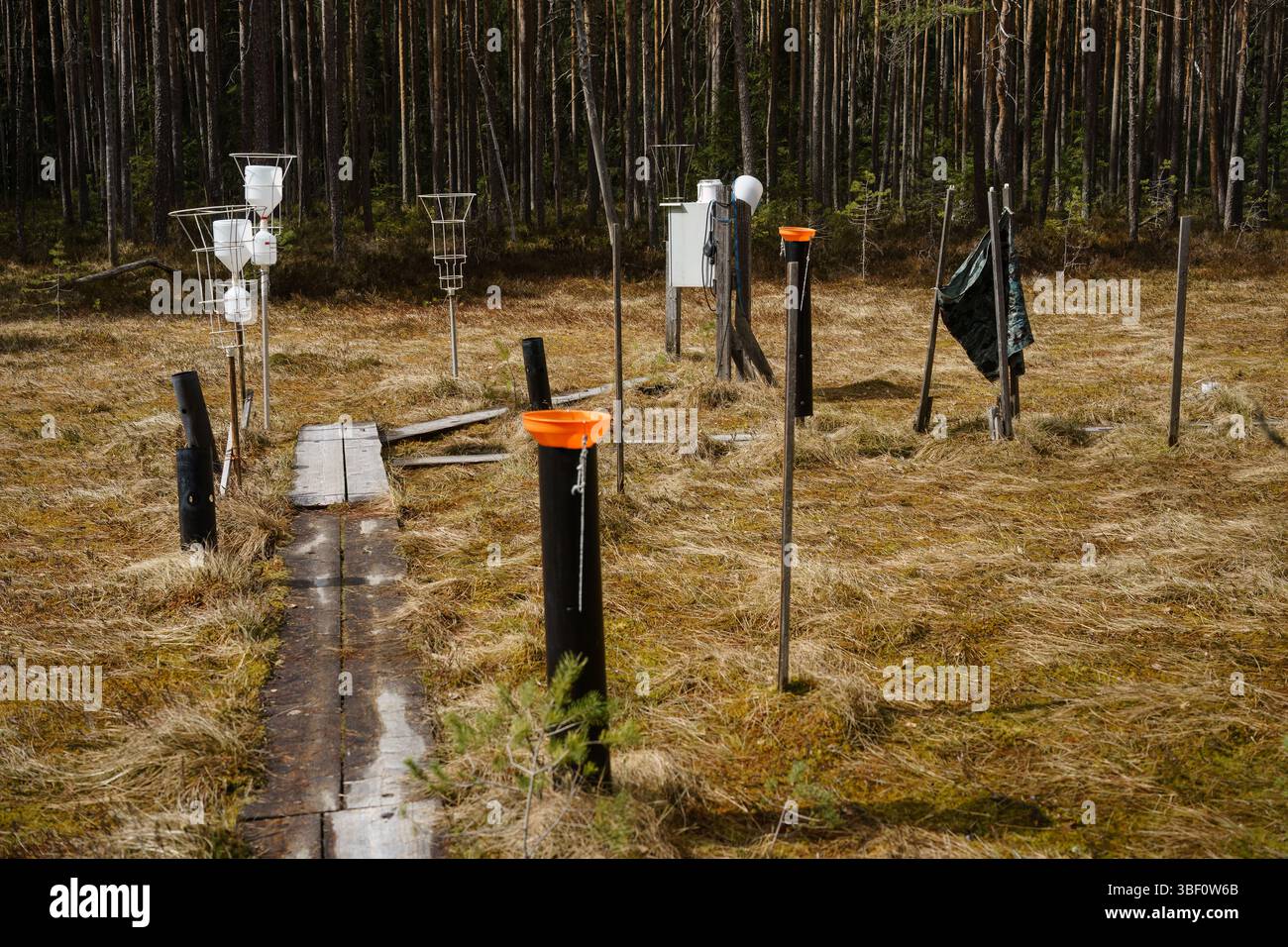 Strumenti utilizzati per la ricerca sulla natura nella riserva naturale di Evo, Finlandia. Foto Stock