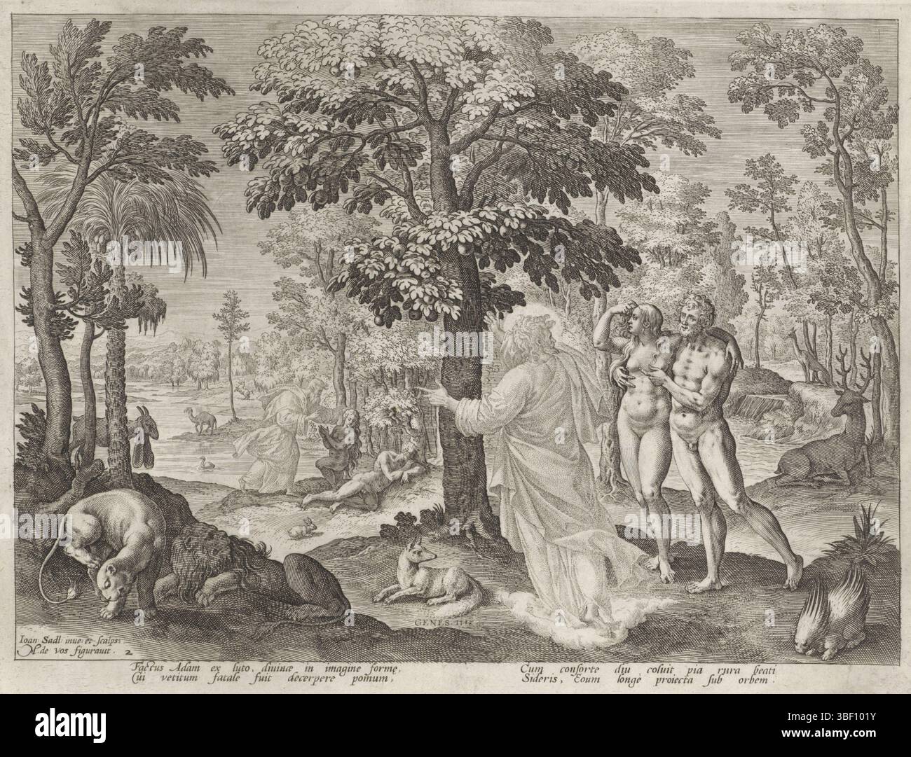 Anversa, Sadeler, Johann (i), Vos, Maerten de, Anversa, Boni et mali scientia, storia della famiglia di Caino, sul lavoro buono e cattivo, Adamo ed Eva in paradiso, verso sotto - timbrato, Adamo ed Eva camminano con Dio in paradiso. Intorno a loro animali diversi. Sullo sfondo la creazione di Eva. La stampa ha una didascalia latina. Stampa, altezza 205 mm, larghezza 267 mm, olandese meridionale, 1550 - 1600-08, stampatore, 1583 - 1583, carta, incisione, incisione (processo di stampa), 1532 - 1603-12-04, tiratore intermedio, dopo il disegno, concezione del lavoro, dopo design, scrittore, pubblicazione (evento), pubblicazione, publi Foto Stock