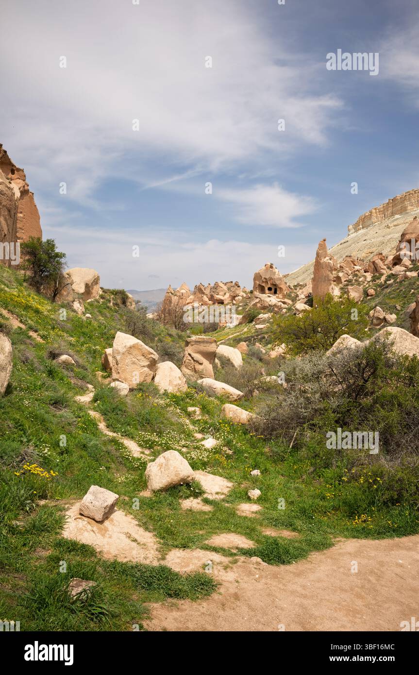 Il paesaggio unico della Cappadocia presenta camini delle fate e formazioni rocciose. La lussureggiante vegetazione mette in risalto i toni terrosi dell'antica auto delle abitazioni nelle grotte Foto Stock
