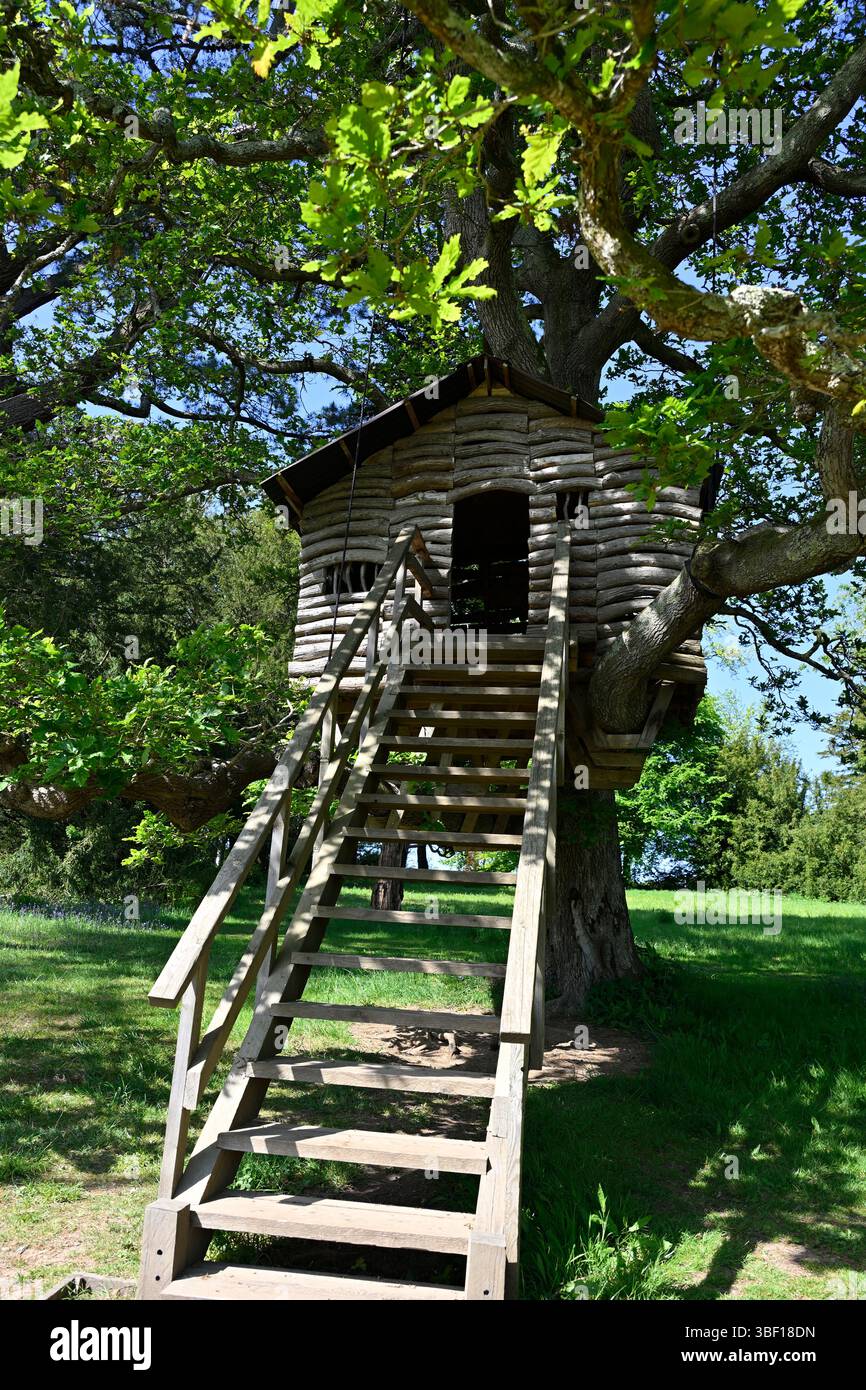 Impressionante casa sull'albero Plas Newydd House and Garden Anglesey Galles Regno Unito maggio Foto Stock