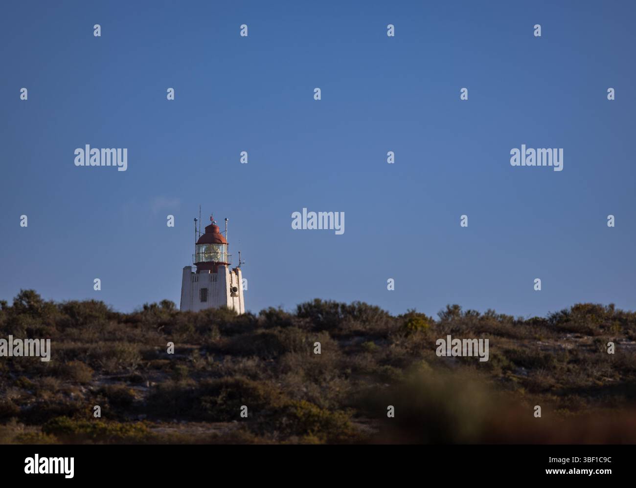 Il faro bianco e rosso sorge su una remota collina sudafricana sotto un cielo azzurro, circondato da una bassa macchia autoctona. Foto Stock