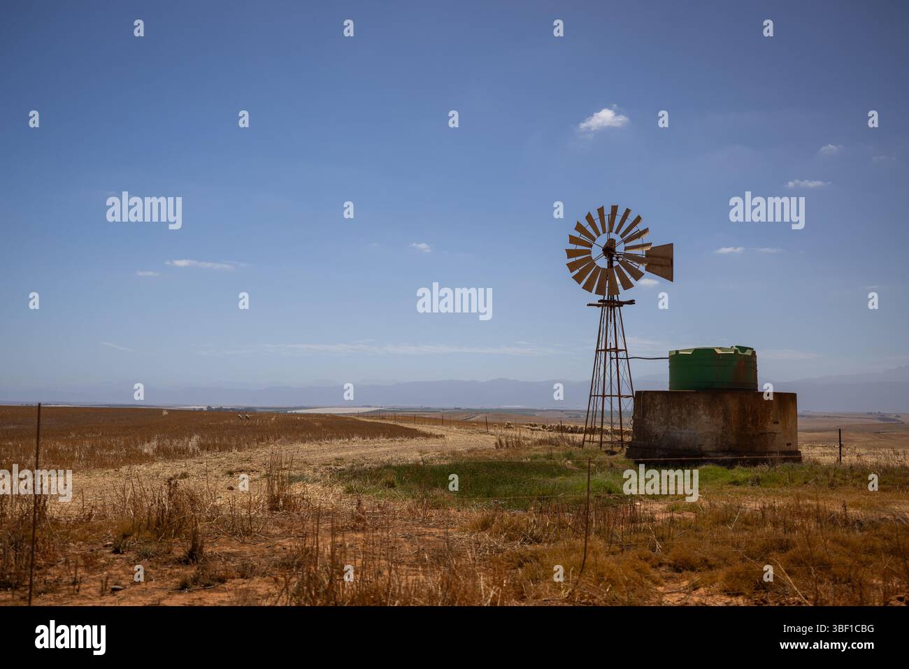 Un vecchio mulino a vento e una vasca d'acqua verde si trovano su un campo asciutto nel sud Africa rurale, con creste di montagna in lontananza sotto il cielo blu. Foto Stock