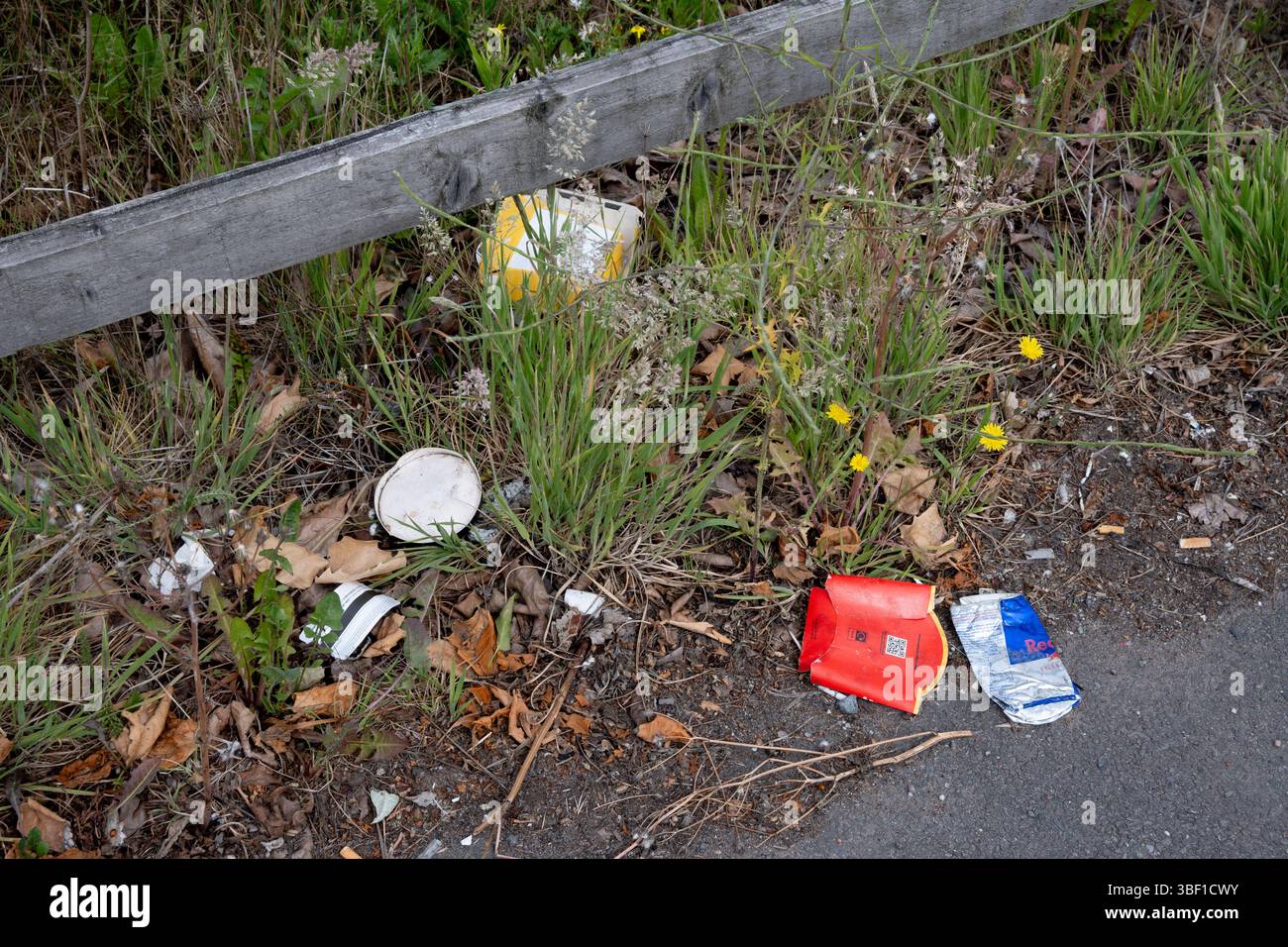 Cucciolate ed erbacce in una strada, Regno Unito Foto Stock