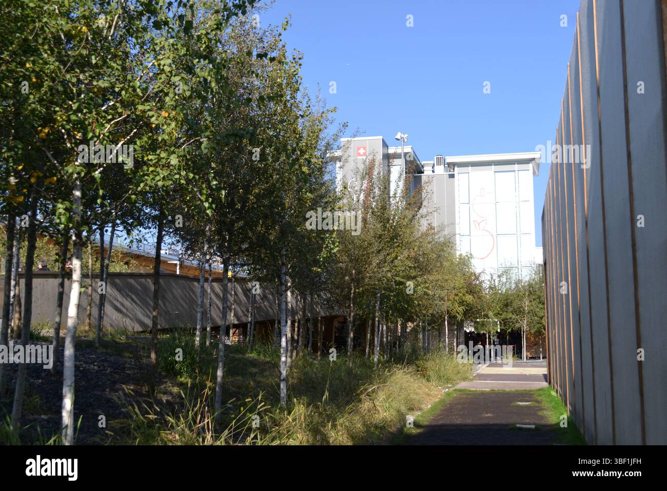 Expo Milano 2015. Green Alley per il padiglione della Svizzera e il padiglione della rete Don Bosco. I giovani alberi fiancheggiano lo splendido paesaggio del parco cittadino. Cielo soleggiato Foto Stock