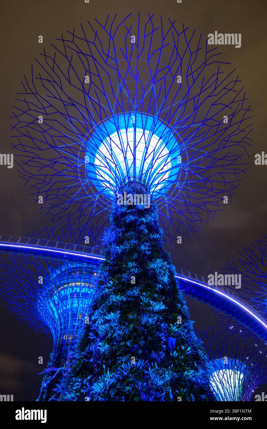 Vista notturna dei Supertree presso i Gardens by the Bay, Singapore. Forniscono ombra e raccolgono l'acqua piovana. Foto Stock