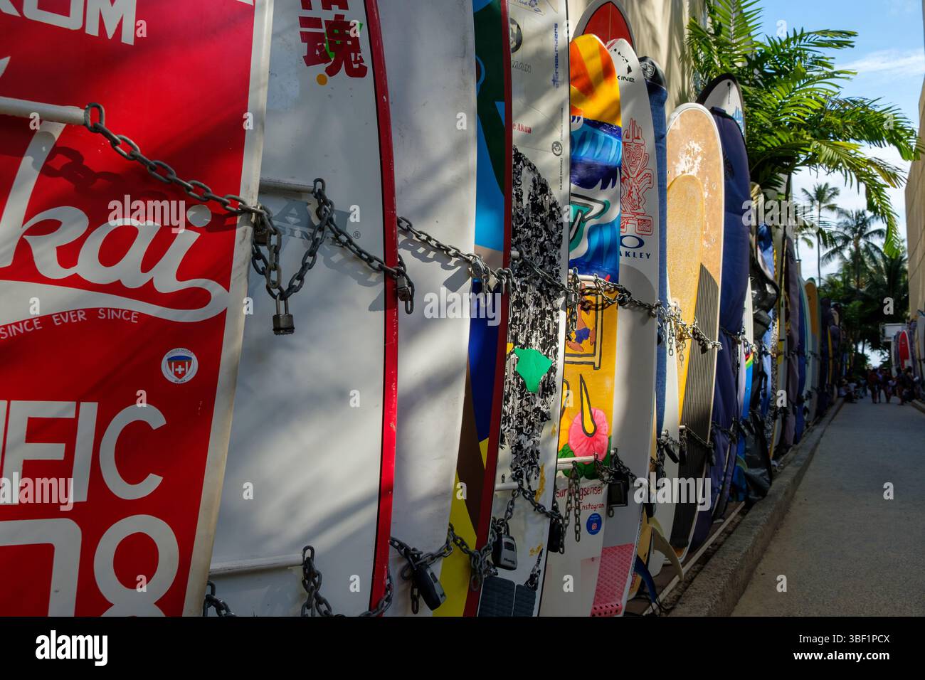 Le tavole da surf sono incatenate a un muro, probabilmente per motivi di sicurezza, in una posizione tropicale. Foto Stock