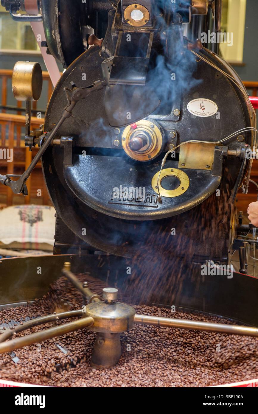 I chicchi di caffè vengono tostati in una tostatura Probat, un passo fondamentale per sviluppare sapore e aroma. Foto Stock