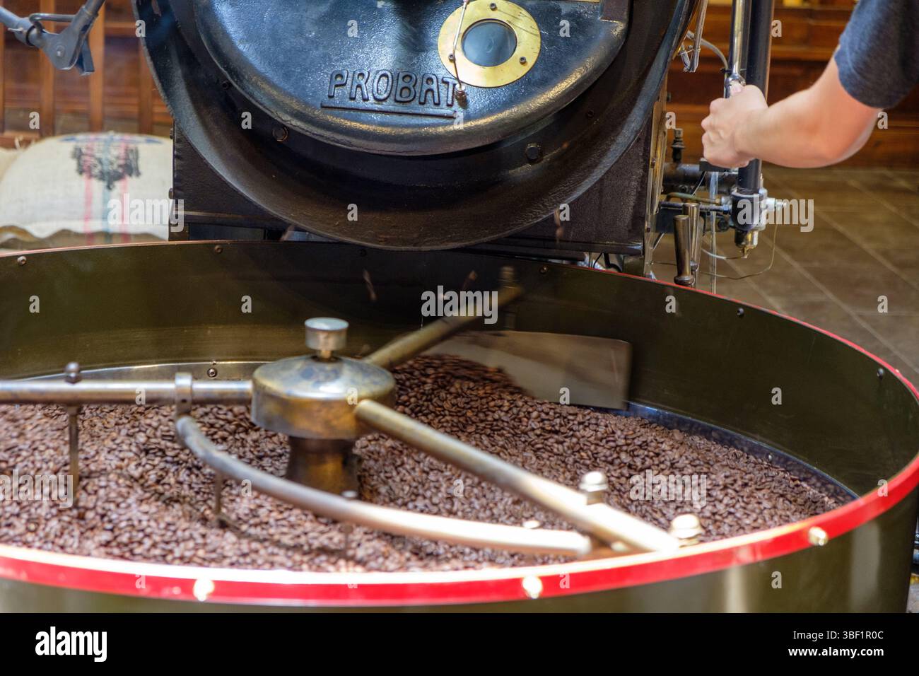Una torrefazione gestisce una torrefazione Probat, che tosta i chicchi per un sapore ricco e aromatico. Foto Stock