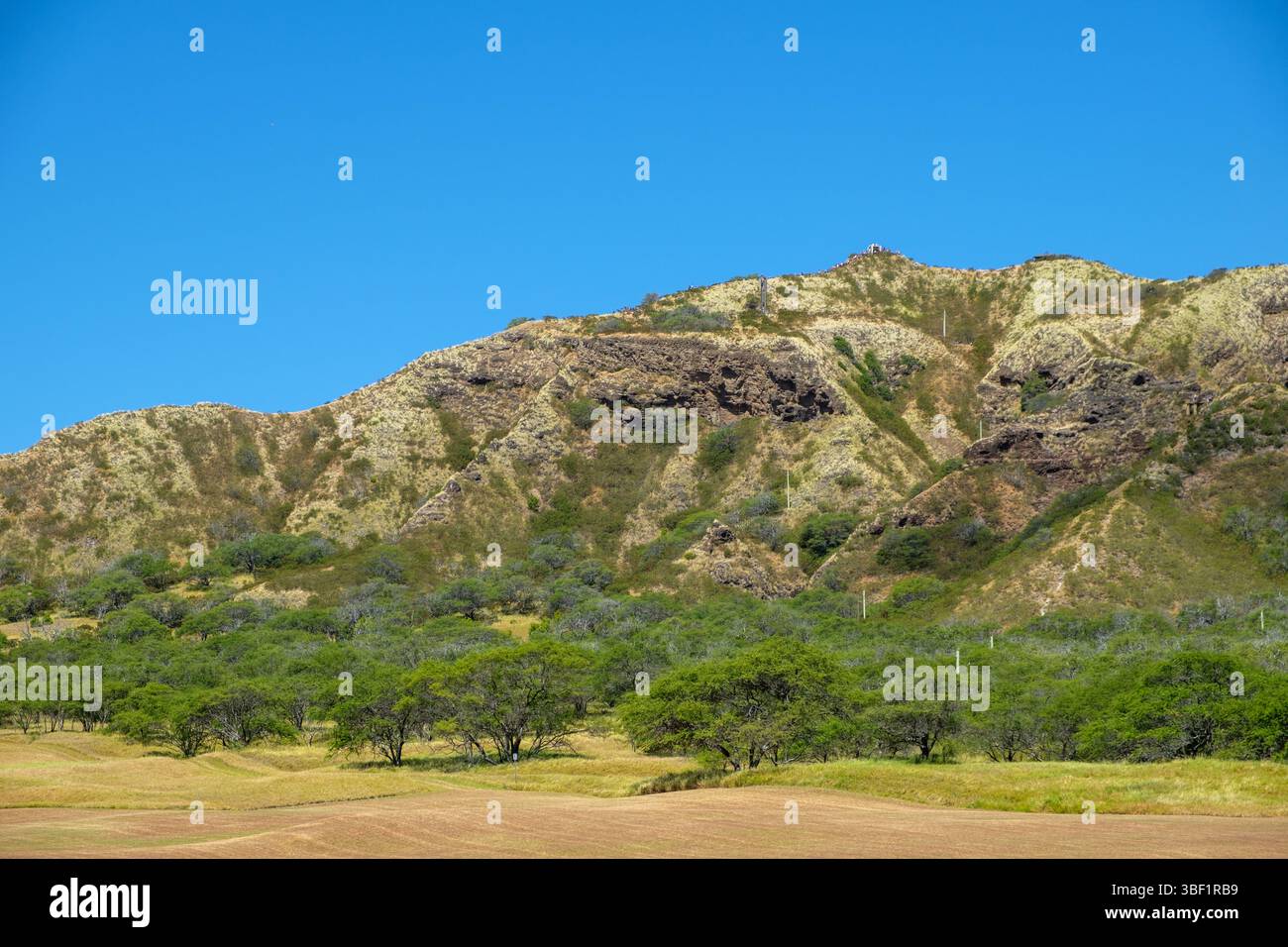 Gli escursionisti si arrampicano sul Diamond Head State Monument a Honolulu, Hawaii, per raggiungere la vetta e ammirare viste panoramiche. Foto Stock
