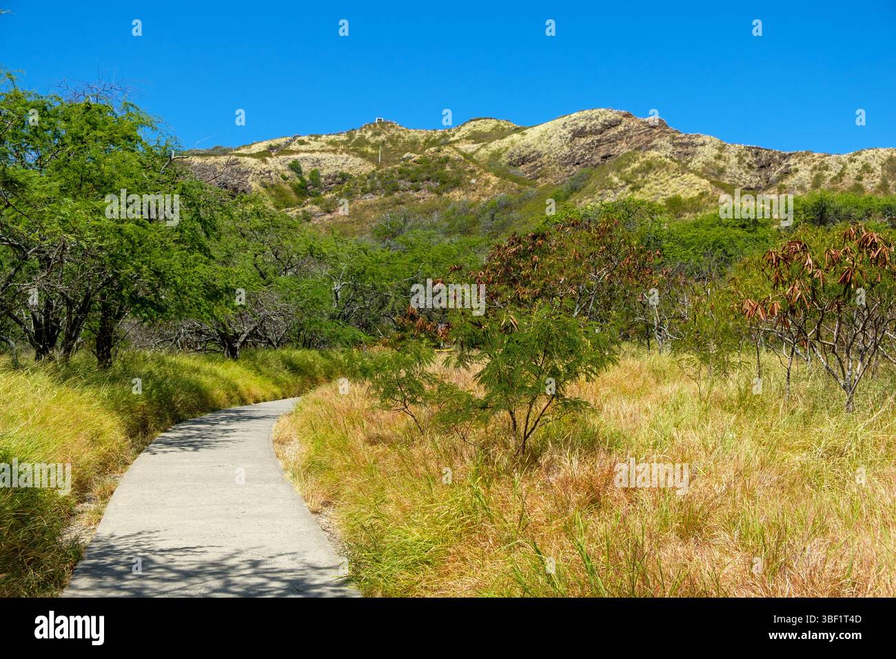 Un sentiero asfaltato conduce al cratere Diamond Head a Honolulu, HI. Gli escursionisti si arrampicano fino alla cima per ammirare le viste panoramiche. Foto Stock