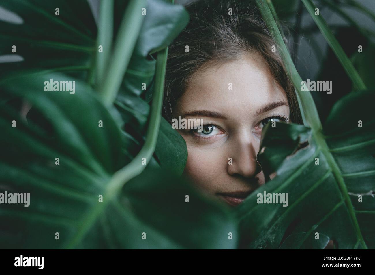 il viso della donna è parzialmente oscurato dalle foglie verdi lussureggianti di una pianta Foto Stock
