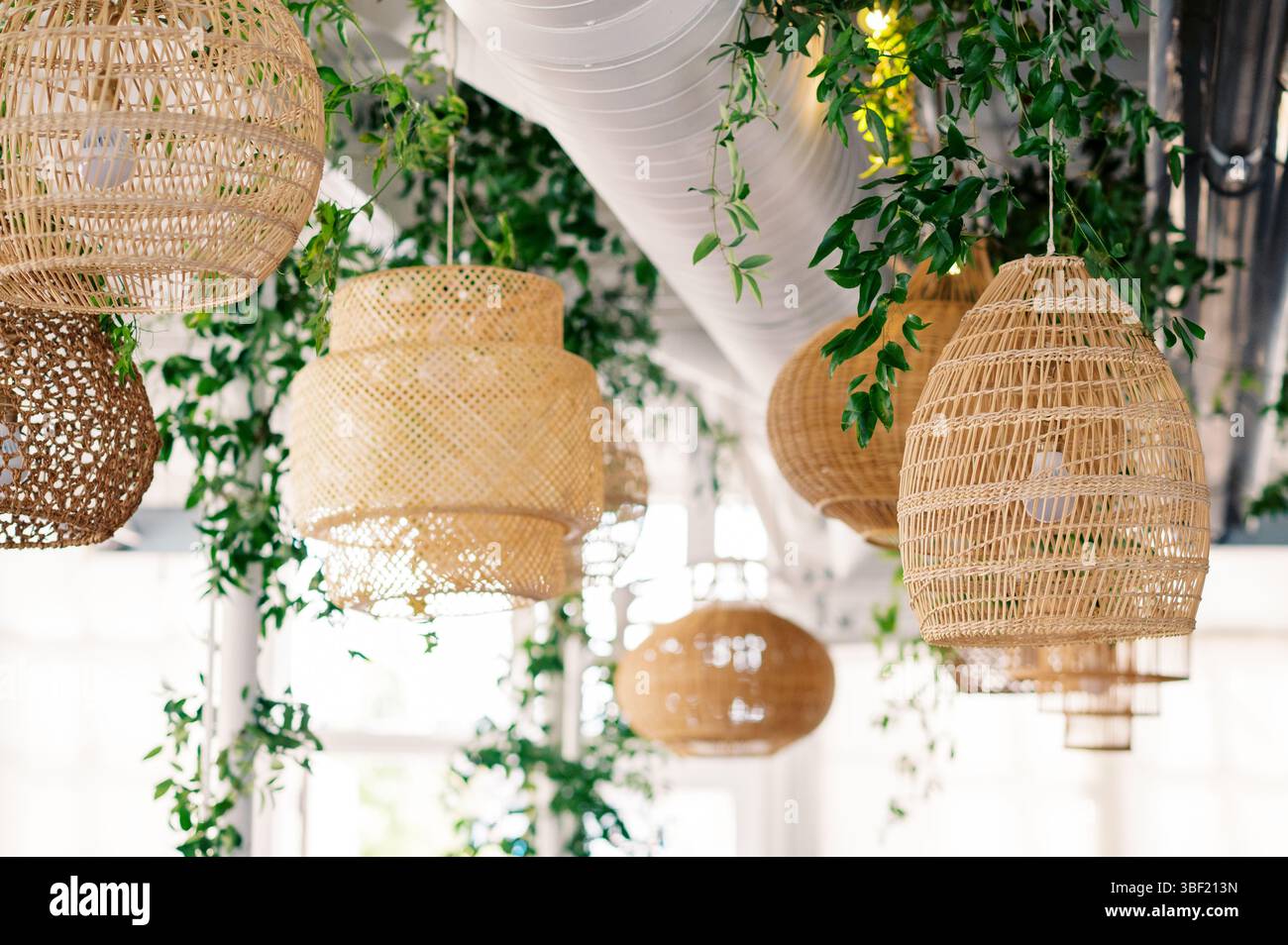 Lampade in vimini sospese che decorano un luogo festivo con vegetazione Foto Stock