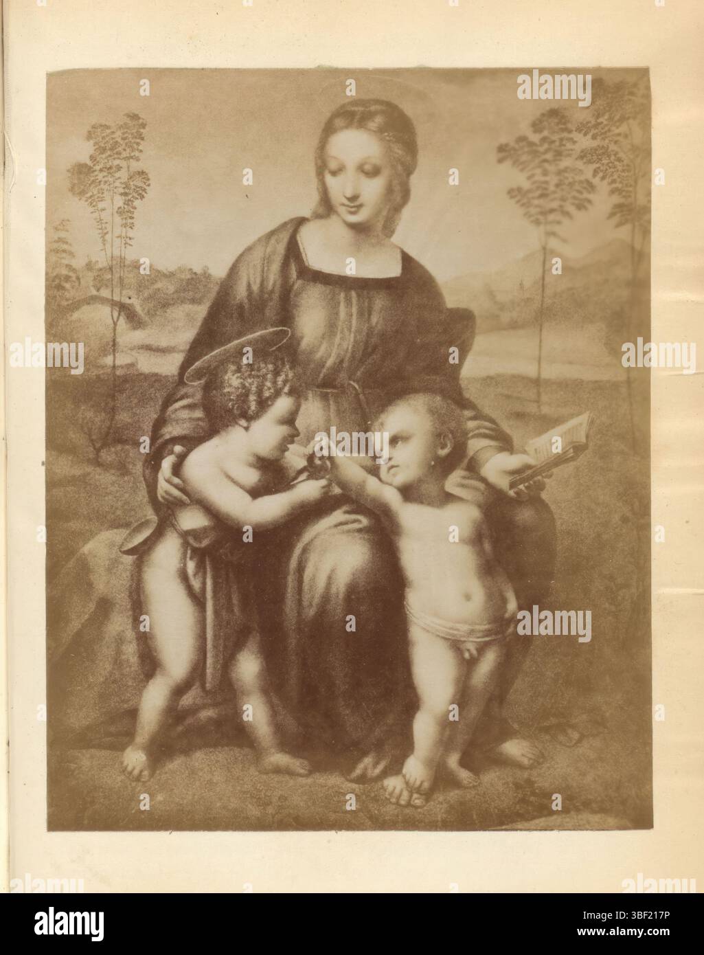 Raffaello, Fotoreproduzione di un dipinto, raffigurante la Madonna con il fincino, fotografia, fotografia, riproduzione, pagina, foto, libri fotografici illustrati, altezza 123 mm, larghezza 98 mm, fotografo, 1878 - 1888, carta fotografica, carta fotografica, stampa di album, stampa di albumina, 1483-04-07 - 1520-04-07 Foto Stock