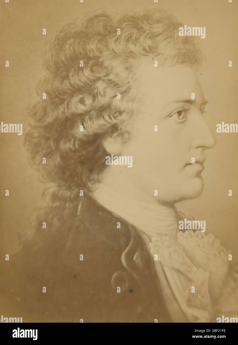 Fotoreproduzione di un ritratto di Johann Wolfgang von Goethe, fotografia, fotografia, riproduzione, pagina, foto, libri fotografici illustrati, altezza 133 mm, larghezza 98 mm, fotografo, 1875 - 1880, carta fotografica, carta fotografica, stampa di album, stampa di albumina, concetto di lavoro Foto Stock