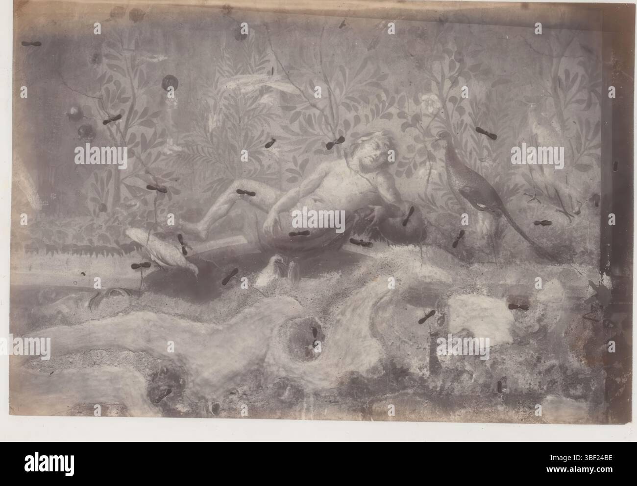 Fotoreproduzione di un affresco a Pompei, questa foto fa parte di un album. foto, altezza 103 mm, larghezza 153 mm, fotografo, 1860 - 1900, carta fotografica, carta fotografica, stampa di album, stampa di albumina, concetto di lavoro Foto Stock