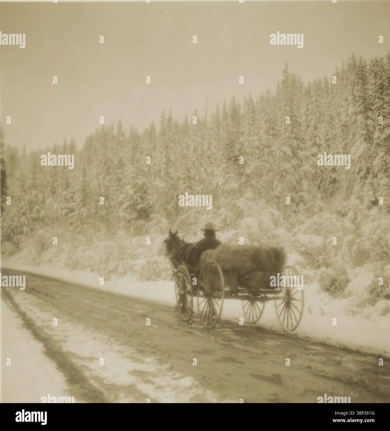 Birmingham, Coronet camera Co., Londra, Sunbeam Tours Ltd., Montagne Rocciose, Dearden Holmes, J., 6 "Picturescope" Views of Rocky Mountains, Nr. Banff, Winter, Canada, Un carretto di cavalli guida vicino a Banff, Birmingham, stampato recto, stereografo, stereofoto, foto, 6417, altezza 83 mm, larghezza 115 mm, inglese, fotografo, 1924 - 1926, carta fotografica, carta fotografica, stampa in argento gelatina, Developmentgelatin Printing, pubblicazione, editore, pubblicazione, pubblicazione (evento), editore Foto Stock