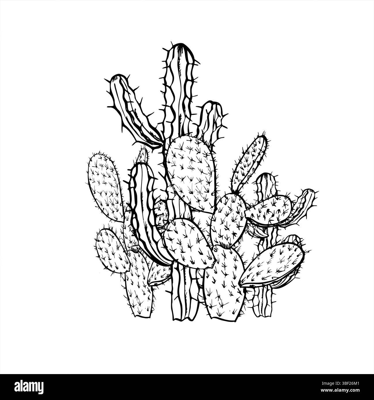 Composizione vettoriale monocromatica di cactus messicani del deserto dipinta da inchiostri neri. Schizzo grafico delle piante pungenti per il branding in stile sudoccidentale Illustrazione Vettoriale