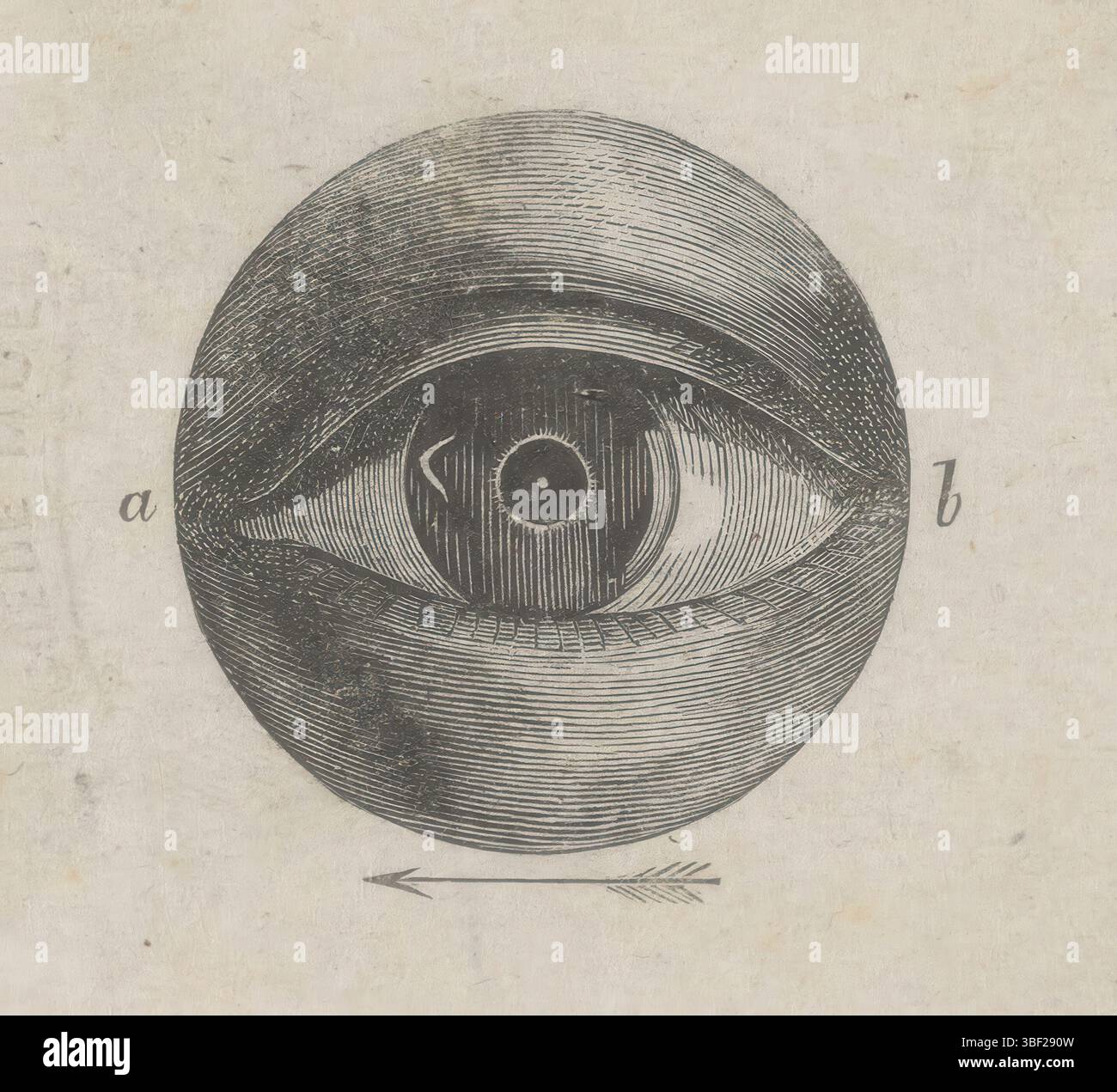Paesi Bassi, Weissenbruch, Isaac, occhio umano con deviazione, Paesi Bassi, stampa, altezza 49 mm, larghezza 59 mm, olandese, 1826-08-27 - 1912-11-13, stampatore, 1836 - 1912, carta, incisione in legno Foto Stock